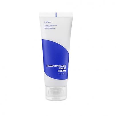 _Isntree_ renewal Hyaluronic Acid Moist Cream 100ml